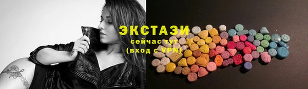 ECSTASY Богданович